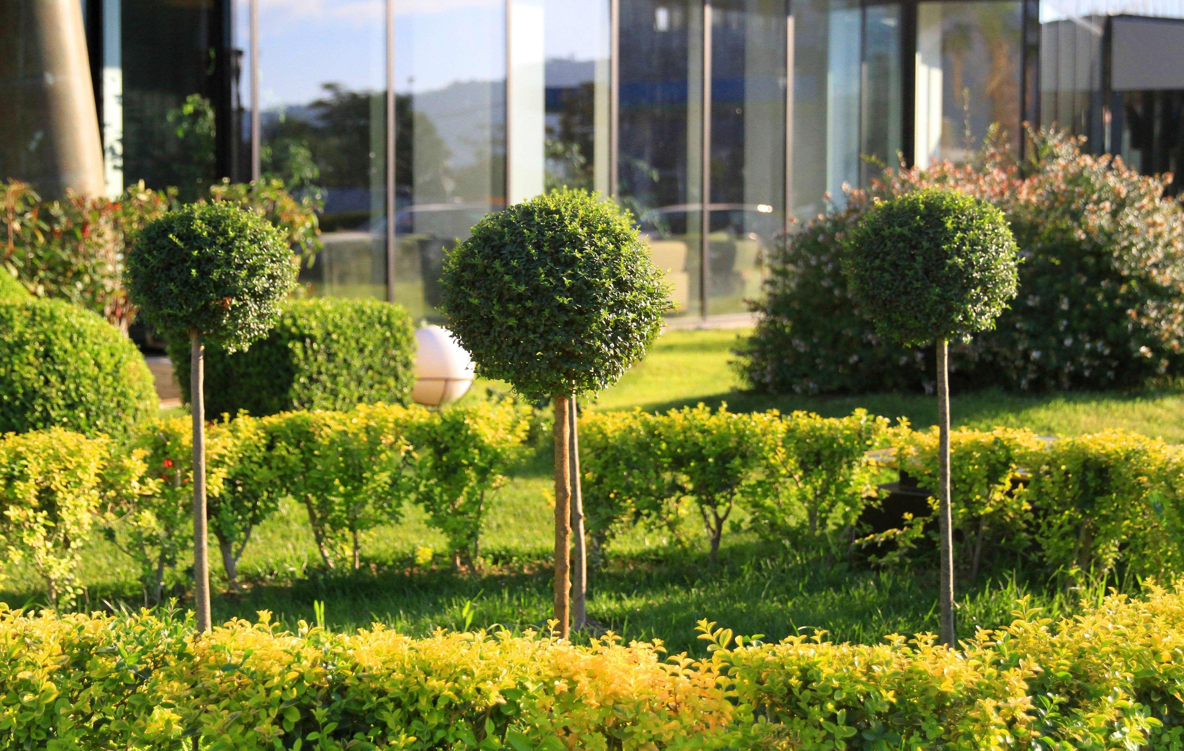 Western Premier Ark 4* Tirana